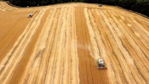 小麦收获鸟瞰图美丽的农业场景