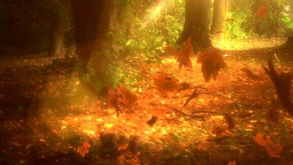 美丽的金色森林和飘落的树叶循环秋天的动画