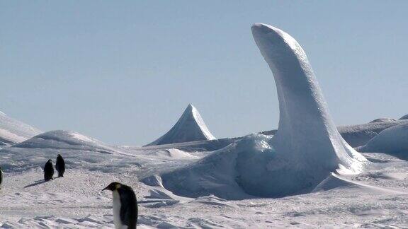 企鹅走过奇异的冰景