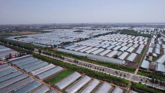 中国农场现代温室种植的航空摄影