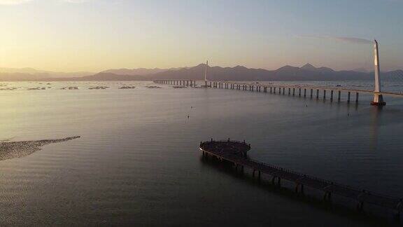 无人机在深圳湾拍摄候鸟中国