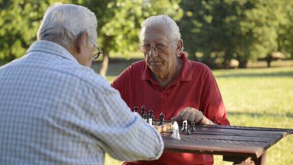 活跃的退休人士两个老朋友在公园下棋