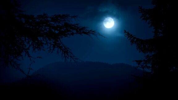 树木框架与月亮夜森林
