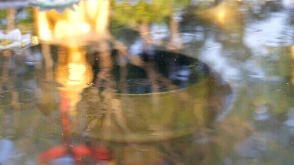 美丽的金色佛像在水中倒影上面漂浮着各种各样的蜡烛莲花的形式