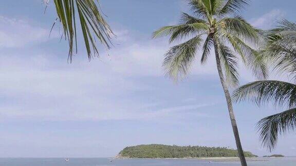 美丽的热带海滩和海洋椰子树度假和旅游