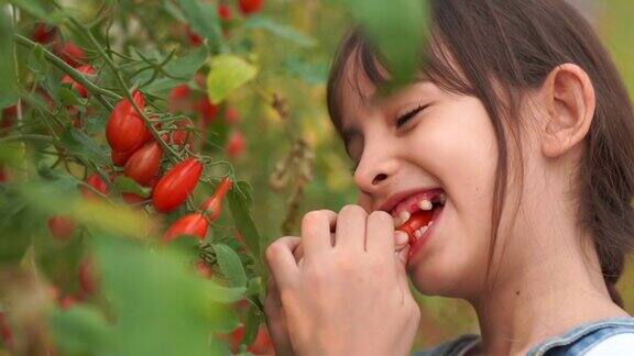 年轻女孩吃新鲜的西红柿在有机农场转基因食品生物食品另类生活方式