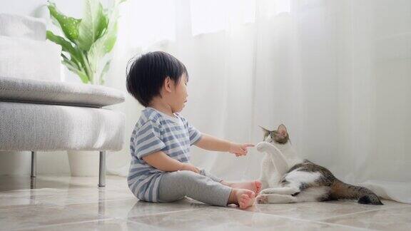 可爱的亚洲小男孩在客厅和瞎猫玩