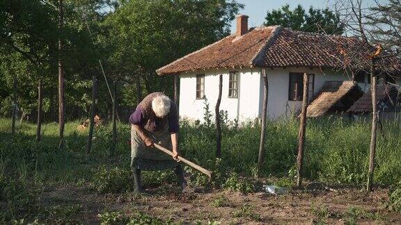 一家人在花园里种蔬菜