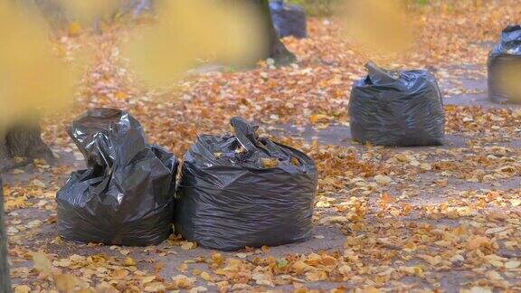 公园里装满秋叶的袋子4k慢动作60帧秒