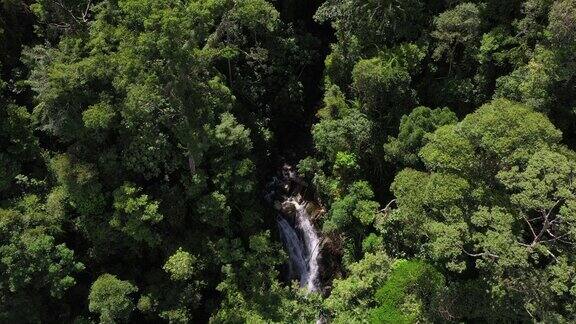 婆罗洲热带雨林和瀑布鸟瞰图