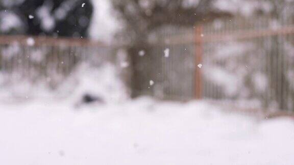 高清超慢镜头:降雪