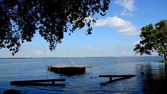 湖中的老木筏和树