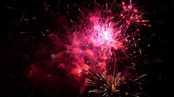 在庆祝活动中各种颜色的烟花在夜空中爆炸