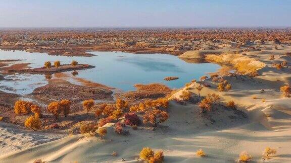 新疆秋季美景鸟瞰图