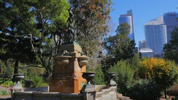 喷泉皇家植物园悉尼4k