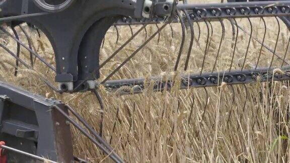 联合收割机正在收割小麦
