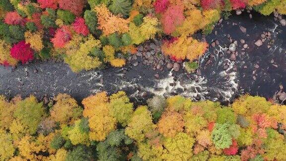 加拿大魁北克秋天的北方自然森林和河流鸟瞰图