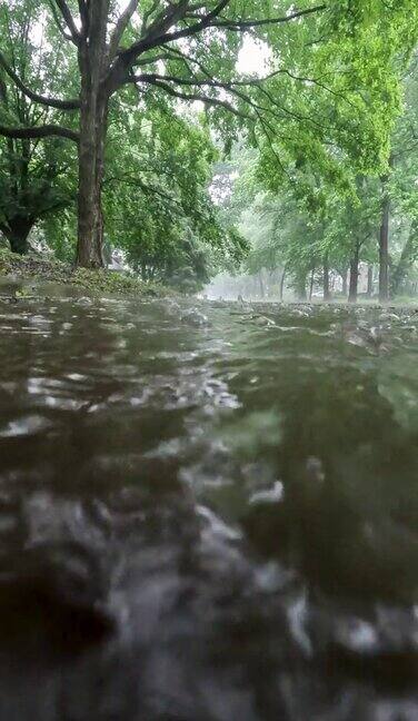 倾盆大雨街景