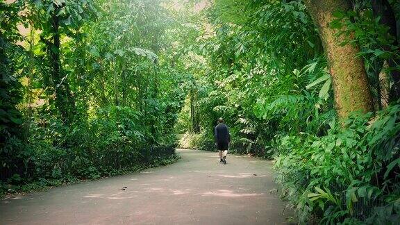 热带森林里一个人走过一条小路