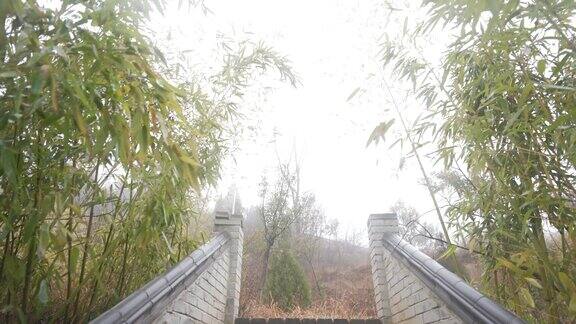 轩辕书院竹林竹子疗愈自然道家传统文化
