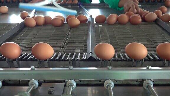 农场里的新鲜鸡蛋