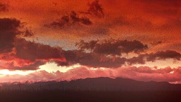 在夕阳下飞翔的椋鸟背景是冬日的群山
