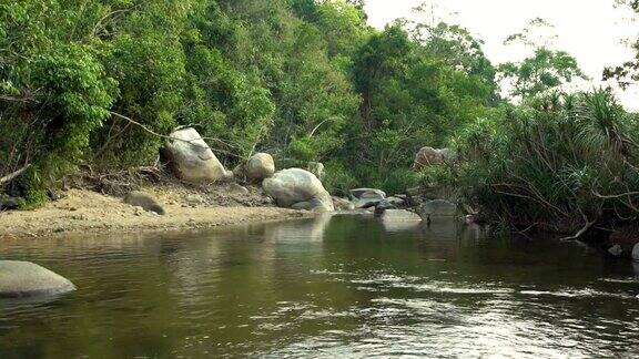 河中有绿色的雨林景观绿色的热带森林和岩石河岸美丽的自然风光