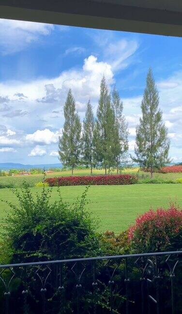 花园景观与五颜六色的花卉和植物与山