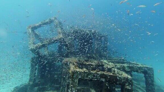 水下人工结构环境保护工程人工礁珊瑚苗圃周围热带鱼