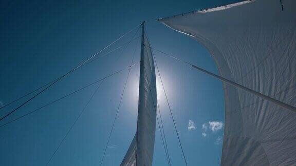 双体船的帆在风中翻腾在蓝天的衬托下太阳部分落在帆的后面