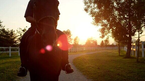 近景:年长的骑手在日落时分骑马享受时光