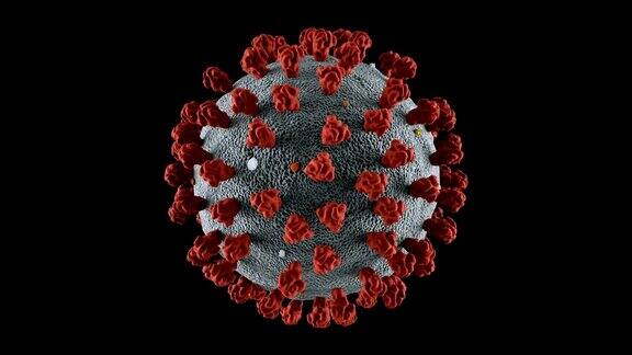 冠状病毒可循环包括阿尔法香奈儿