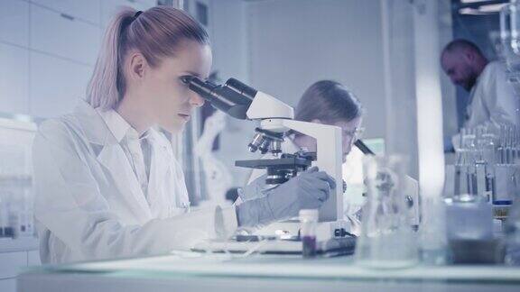 实验室小组处理病原体样本使用显微镜