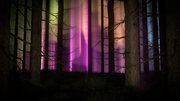 森林的夜灯-循环景观自然动画背景