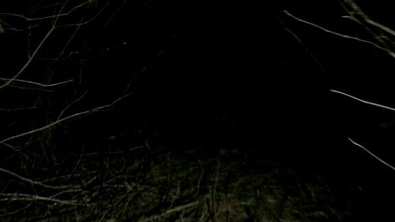 POV拍摄了在夜晚走过跑过黑暗阴森的森林