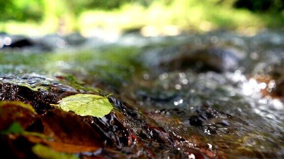 淡水泉