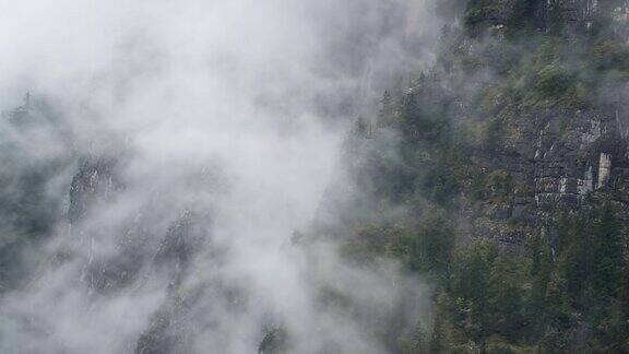 夏天下雨的时候哈尔斯塔特周围山上的松树林像雾一样笼罩着云雾