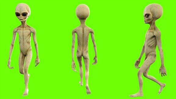 外星人走了绿色屏幕上的可循环动画4k