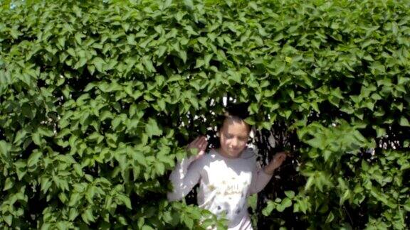 女孩从绿色的灌木丛中爬了出来