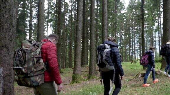 一组冒险的青少年与背包探索森林徒步通过森林小径一起