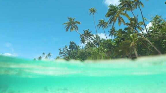 半水下:在阳光明媚的日子里高大的棕榈树伸展在碧绿的海浪上