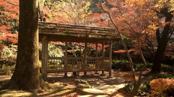 展示了日式花园中带有红枫植物的木制亭子