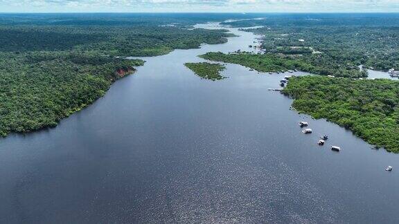 亚马逊河在亚马逊雨林巴西亚马孙
