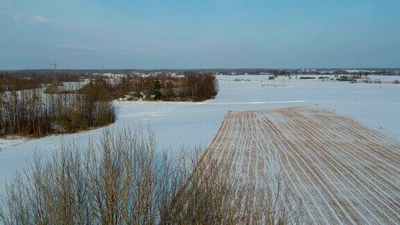 冬季农田与小麦茬和灌木鸟瞰图
