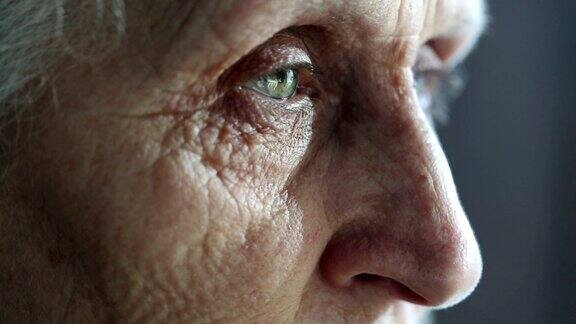 一个老女人专注地望着别处的眼睛