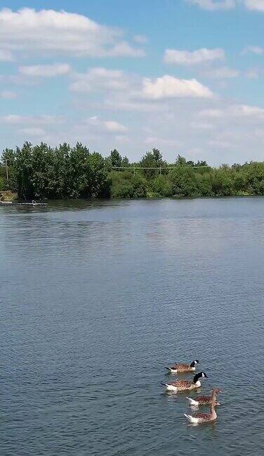 英格兰斯图尔特比湖的美丽镜头