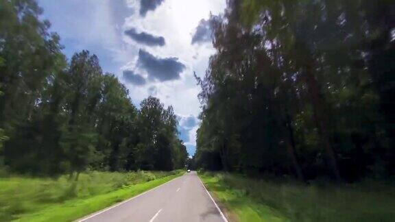 在穿过森林的乡间小路上开车