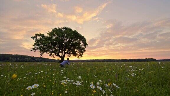 曼女士带着相机拍摄斯洛文尼亚日落时宁静的田园风光