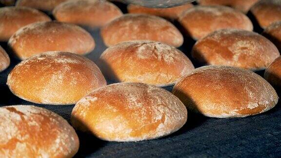 工业面包店圆面包刚刚做的面包离开烤箱在传送带上