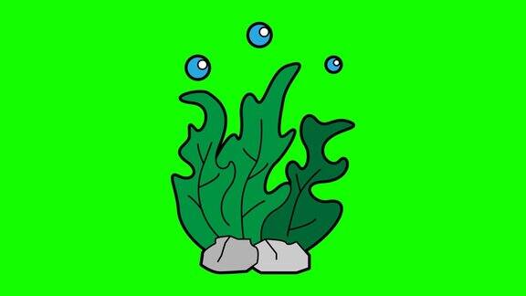 海藻动画绿屏